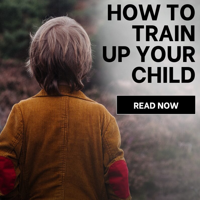 How to Train up Your Child